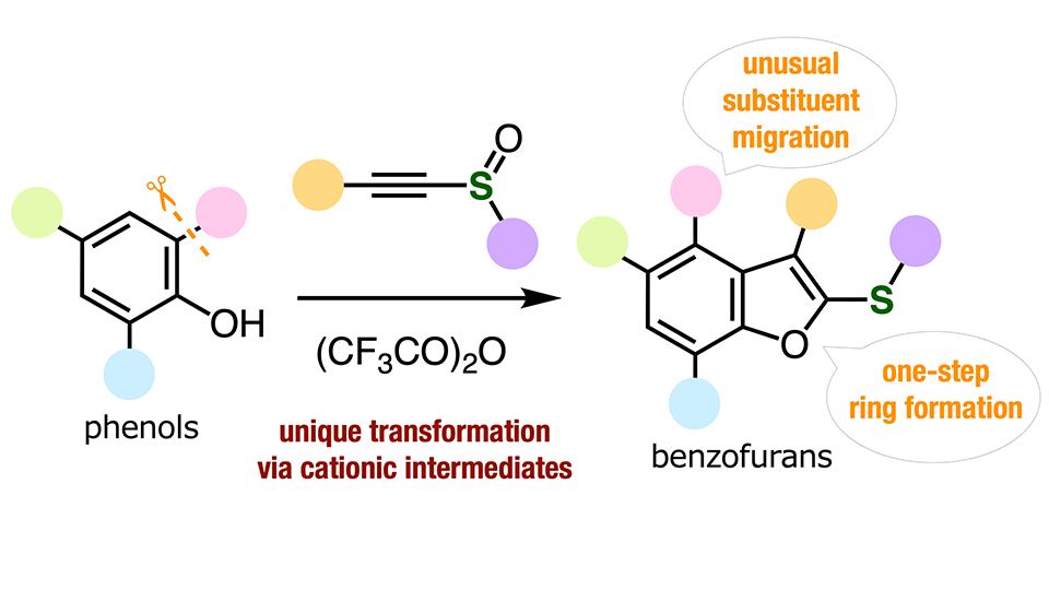 Tokyo Scientists Unlock New Benzofuran Synthesis Method, Paving Way For Advanced Pharmaceuticals