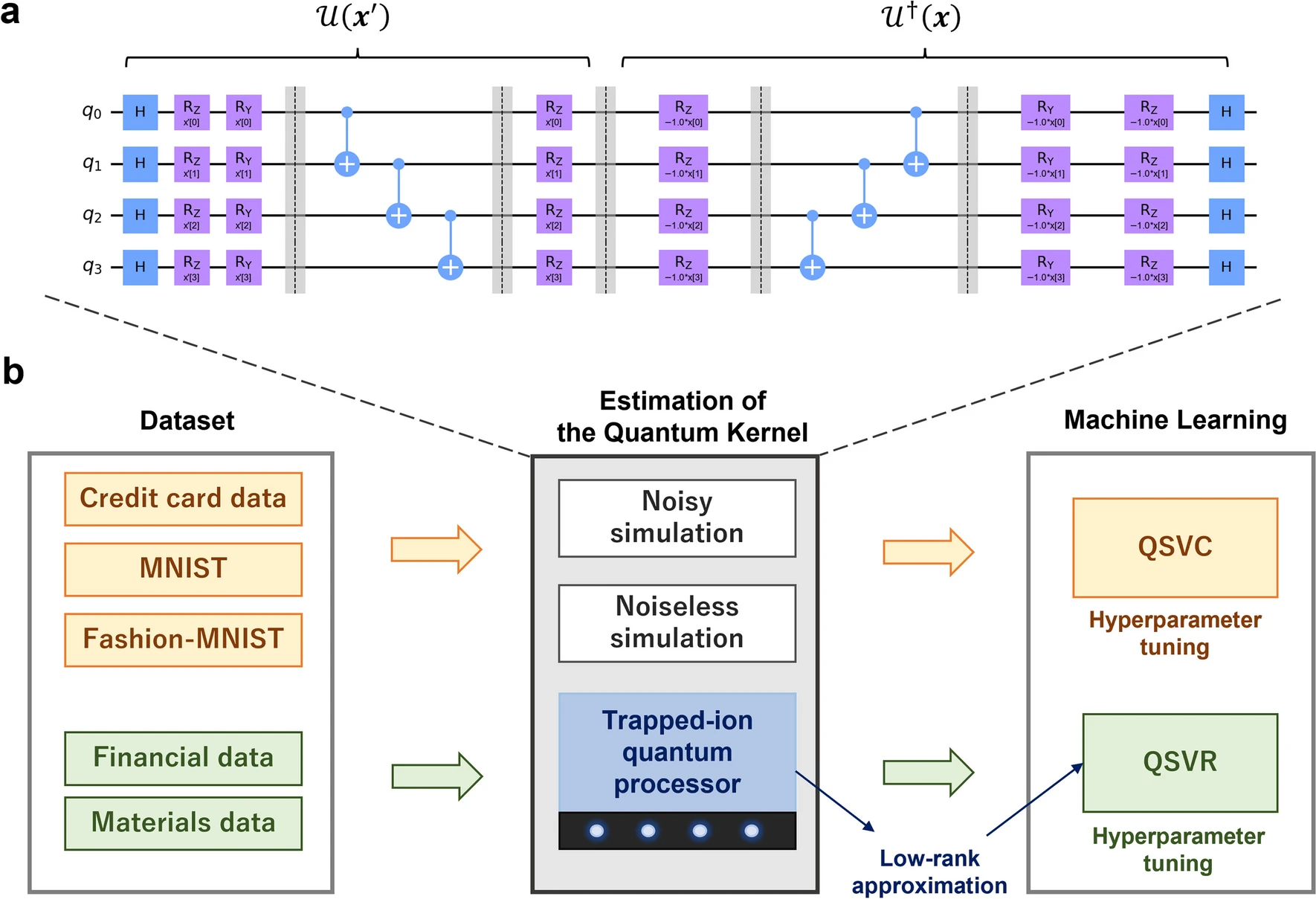 Quantum Machine Learning Models Show Promise In Diverse Fields, Resisting Noise And Adapting To Various Datasets