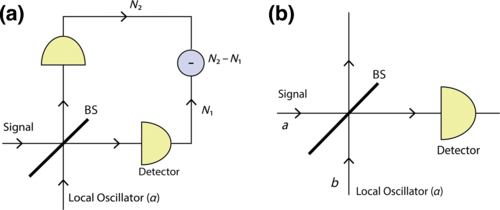 Shadow Tomography: A Game-Changer For Quantum State Estimation And Quantum Technologies