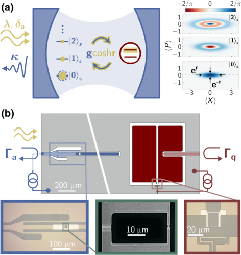 Antisqueezing Amplifies Qubit-Photon Interactions, Paving Way For Quantum Tech Advancements