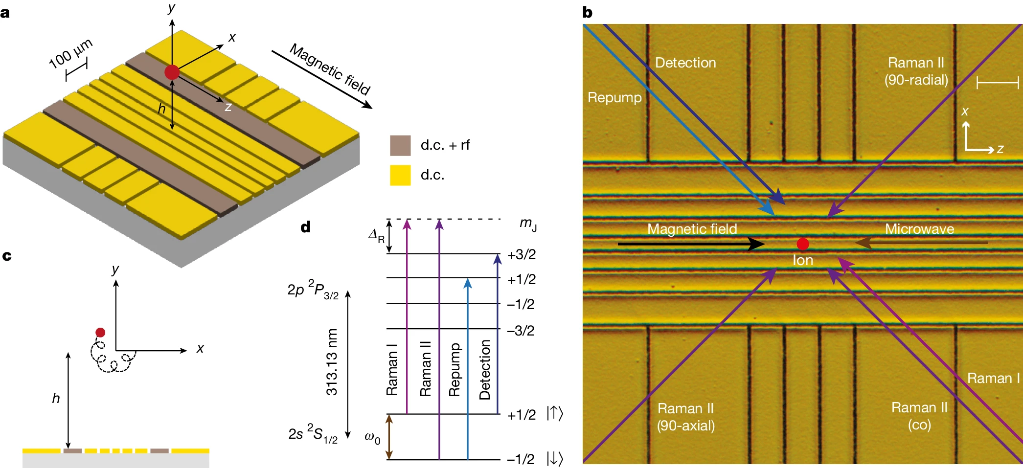 Ion Trap Qubits Enhanced With Penning Microtrap