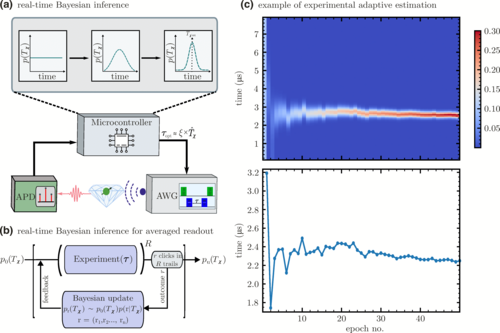 Revolutionizing Quantum Systems: Real-Time Adaptive Protocol Measures Decoherence Timescales