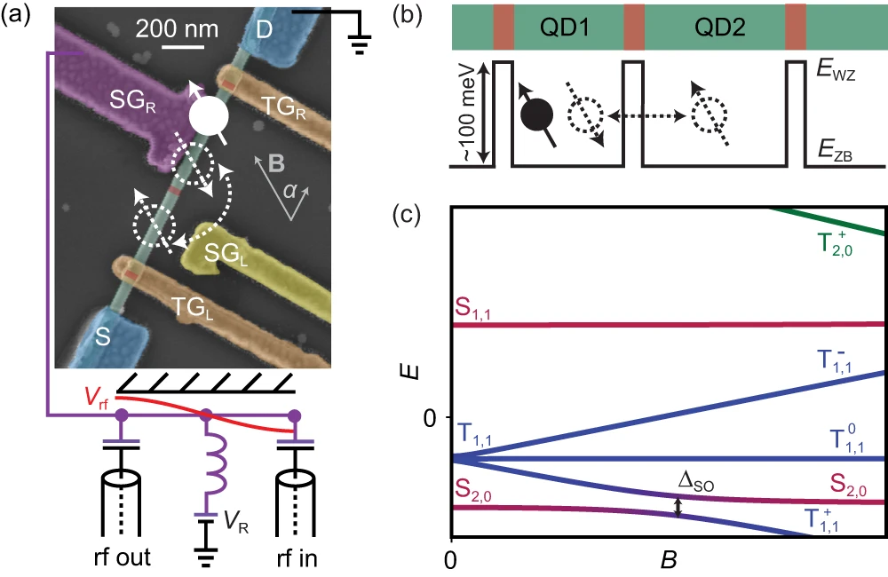 Researchers Achieve Strong Spin-Photon Coupling In Quantum Information Processing Breakthrough