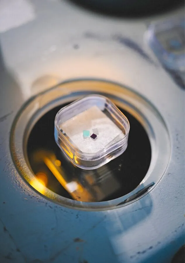 Goethe University To Install First Quantum Computer ‘Baby Diamond’ In Quantum Computing Leap