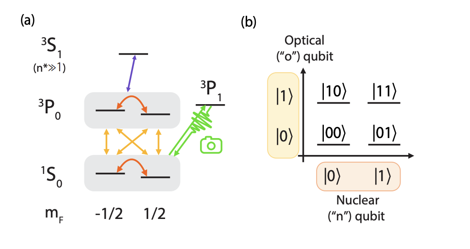 Revolutionizing Quantum Computing: New Two-Qubit Encoding Architecture In Ytterbium-171 Atoms